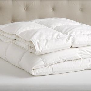 Pottery Barn classic down comforter/duvet insert queen size